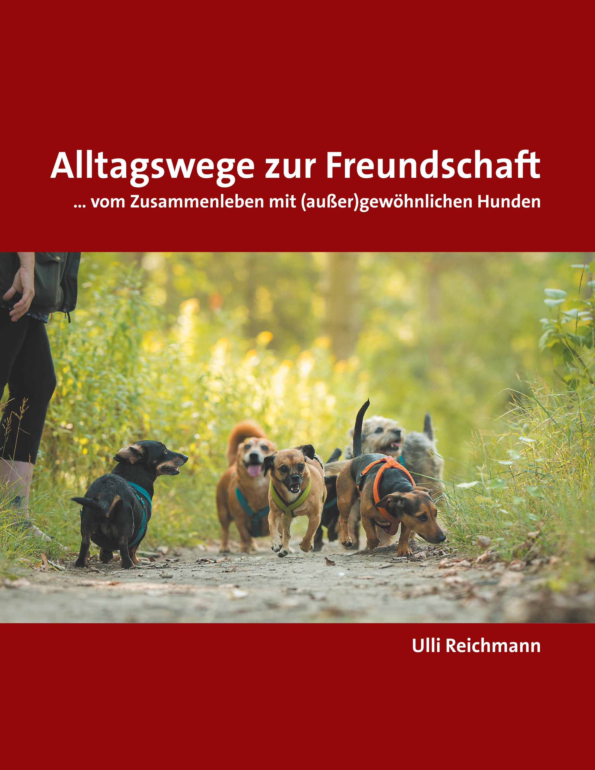 Buchcover - Alltagswege zur Freundschaft