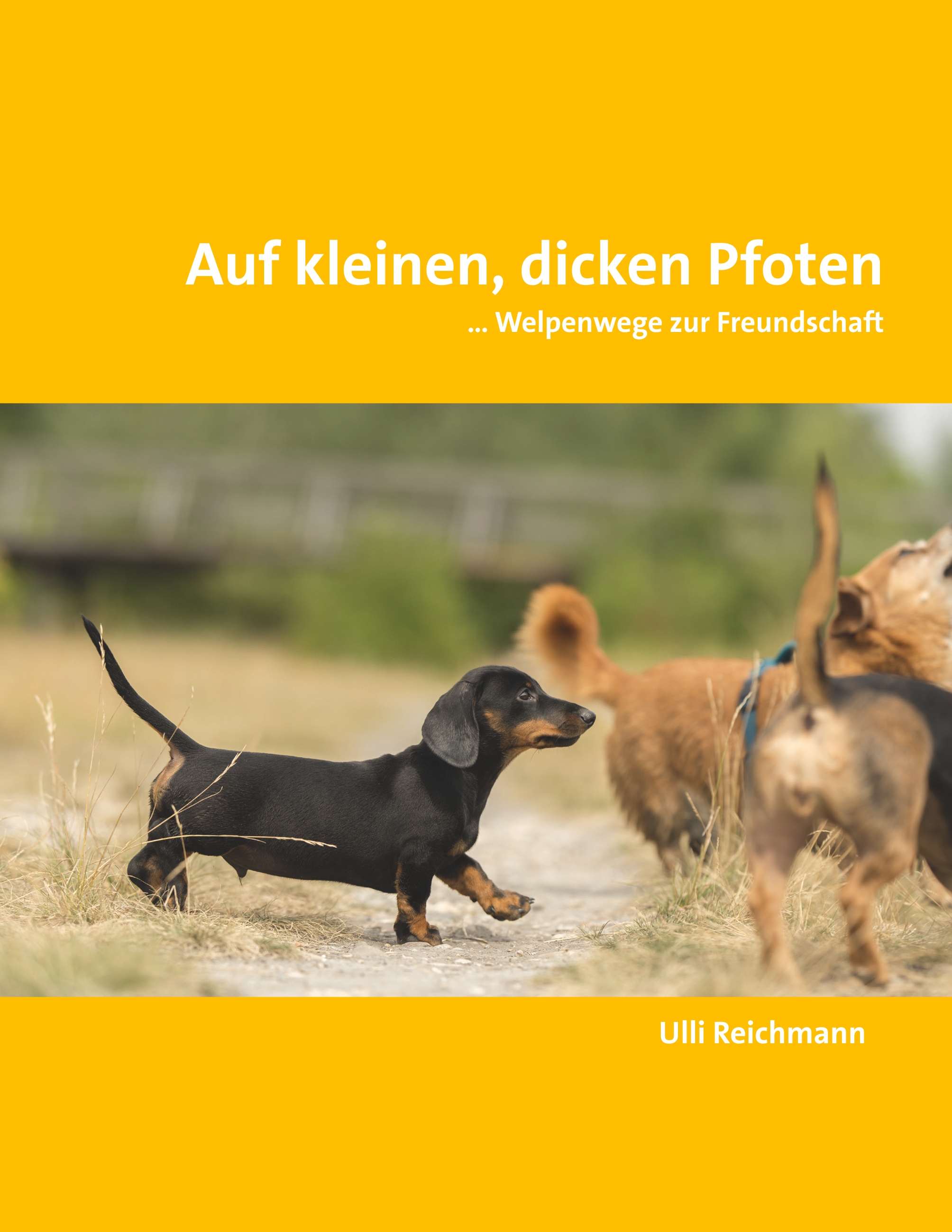 Buchcover - Auf kleinen, dicken Pfoten