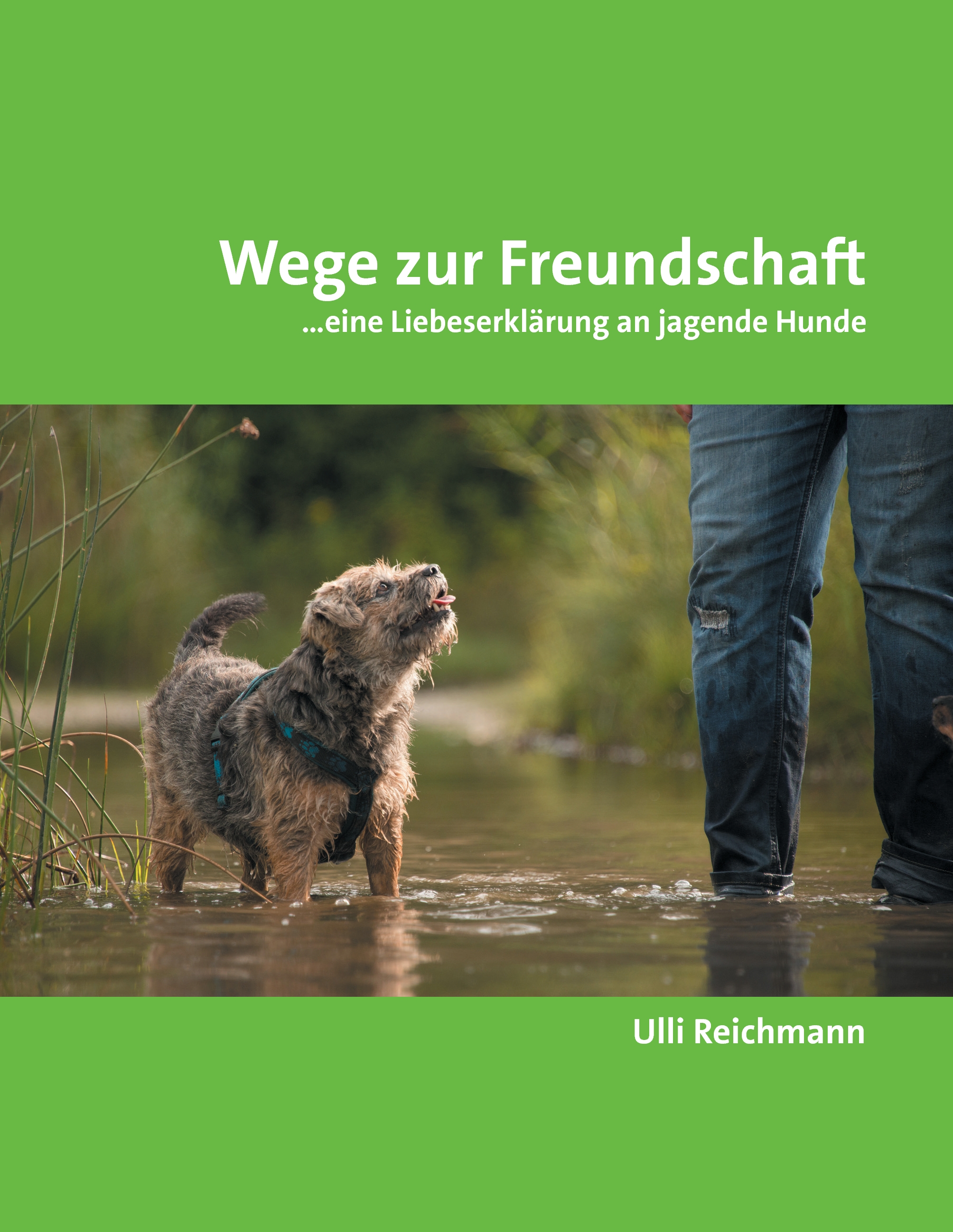 Buchcover - Wege zur Freundschaft