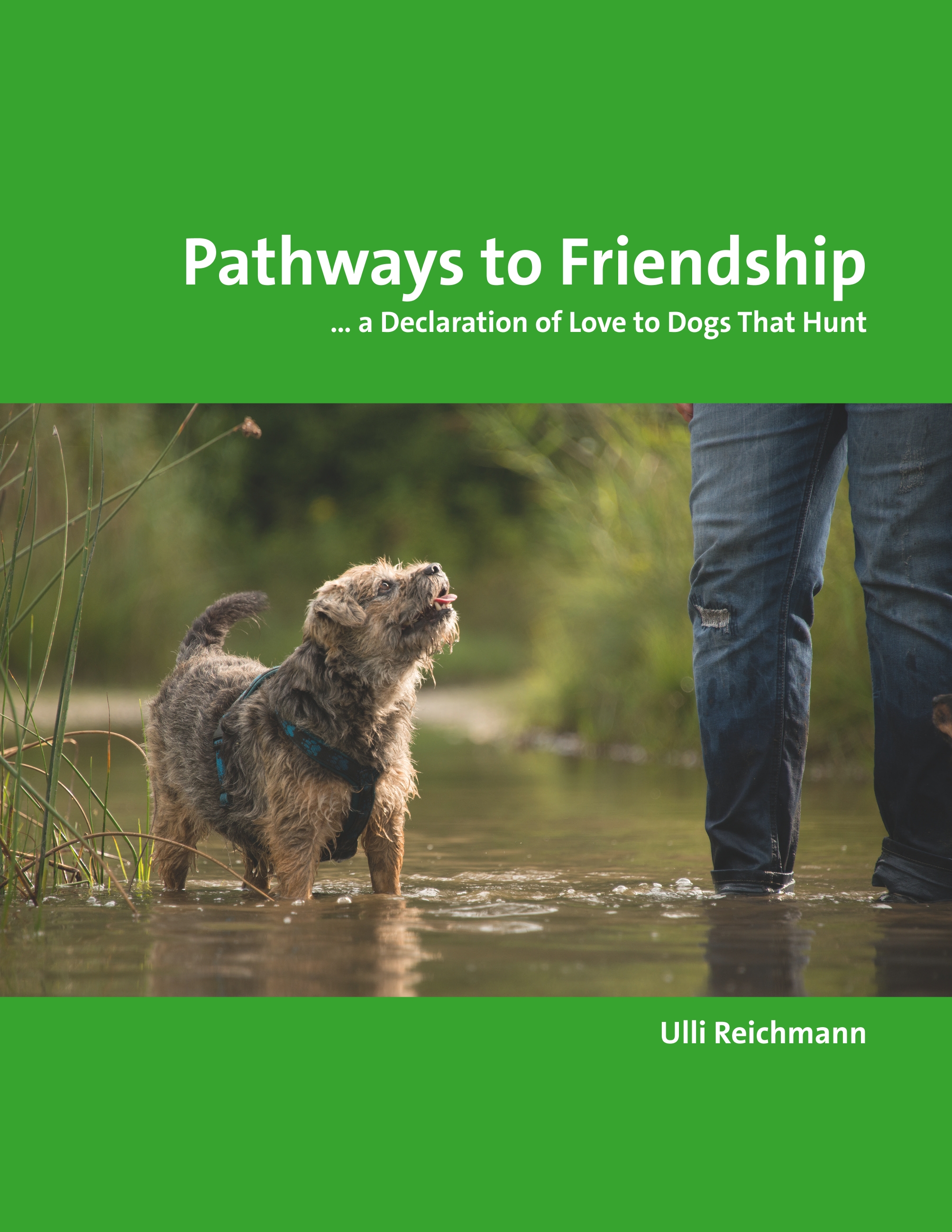 Buchcover - Pathways to Friendship